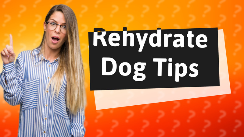 Rehydrate Dog Tips