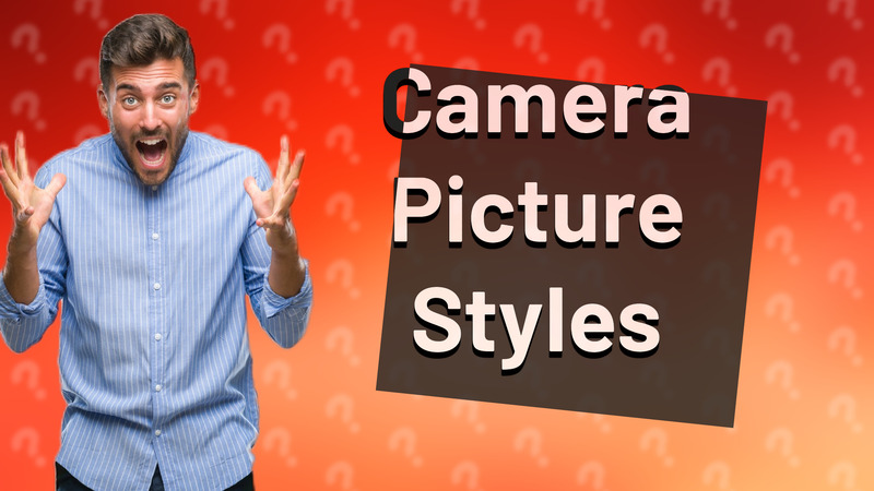 Camera Picture Styles