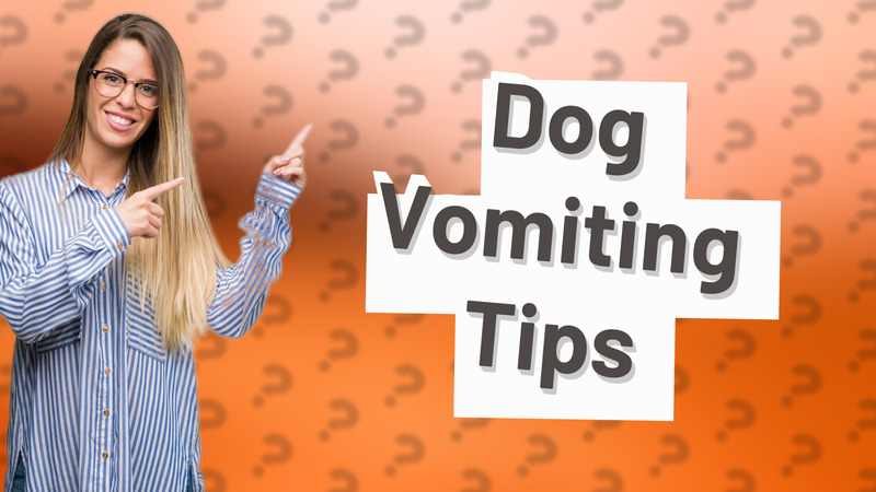 Dog Vomiting Tips