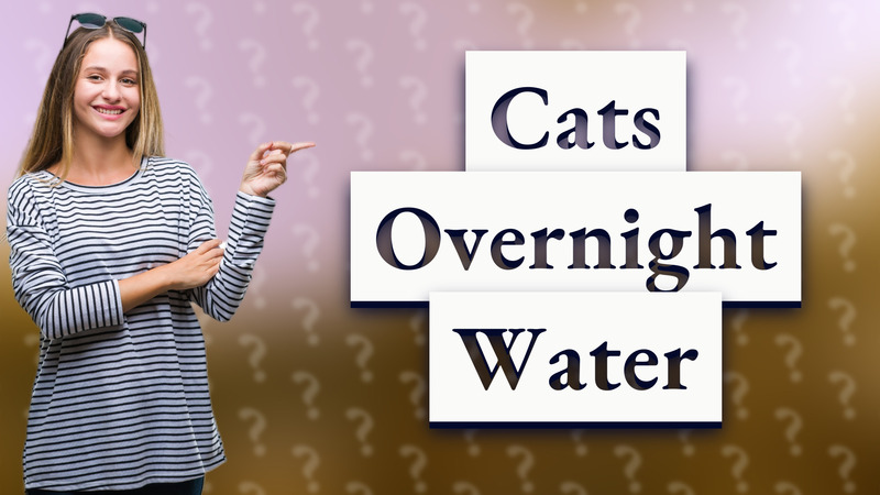 Cats Overnight Water