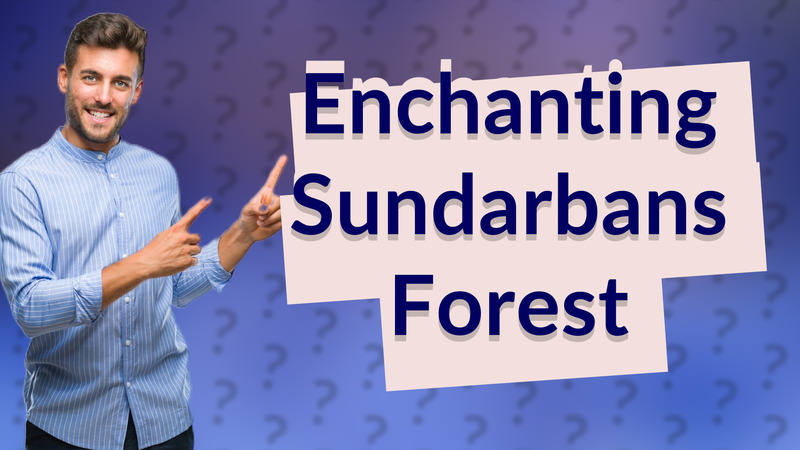 Enchanting Sundarbans Forest