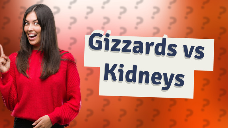 Gizzards vs Kidneys
