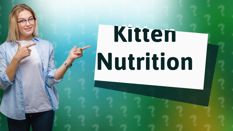 Kitten Nutrition