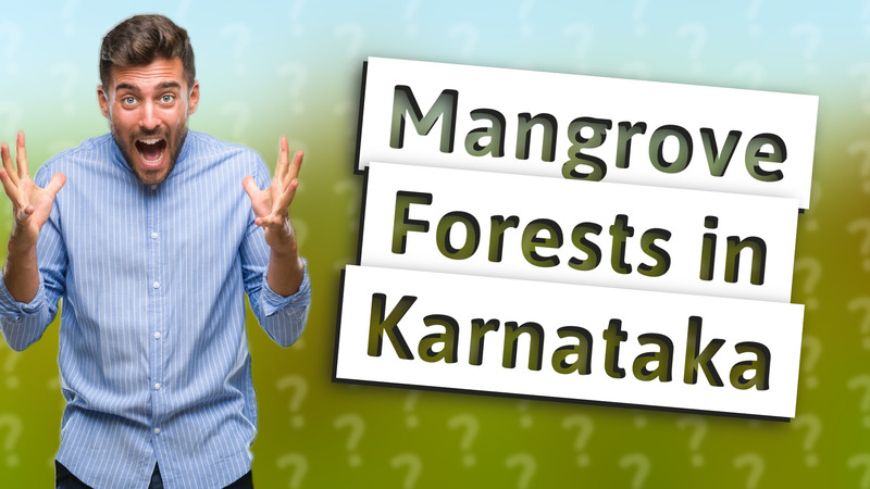 Mangrove Forests in Karnataka