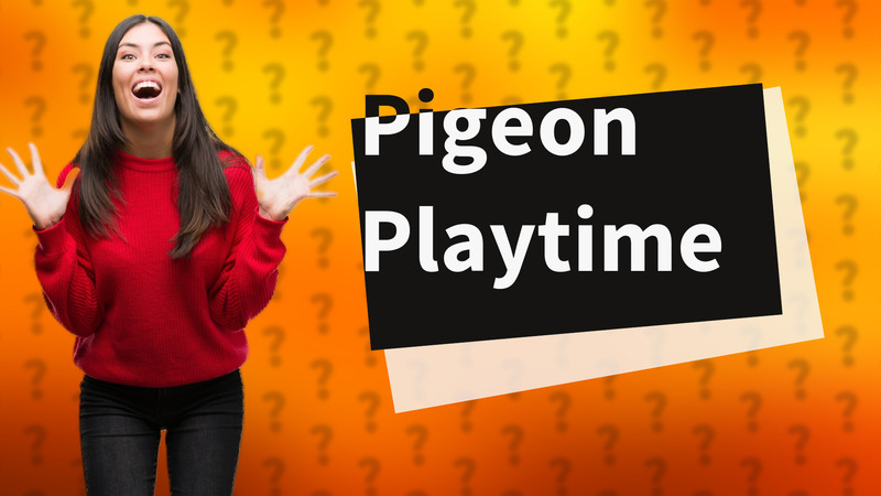 Pigeon Playtime