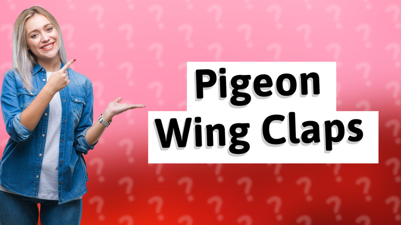 Pigeon Wing Claps