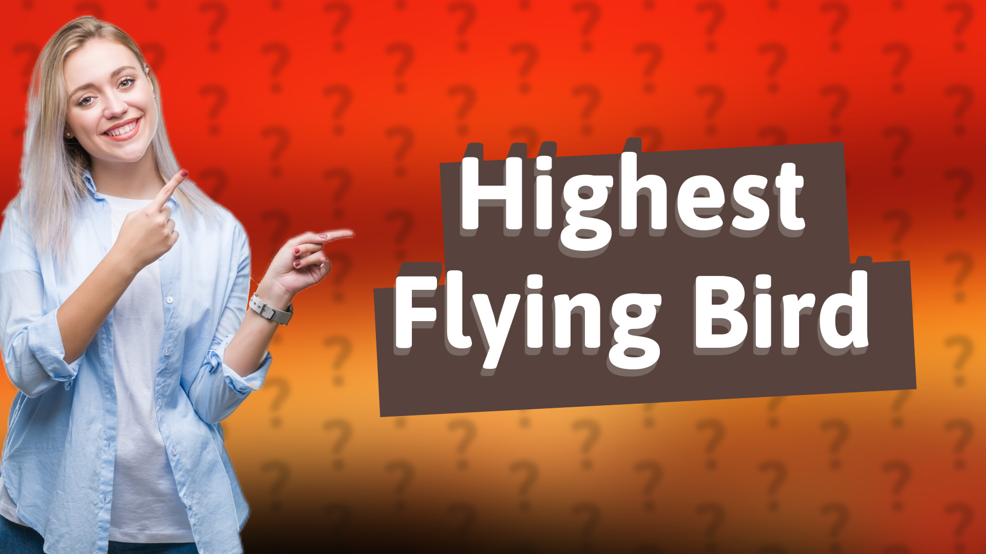 Highest Flying Bird