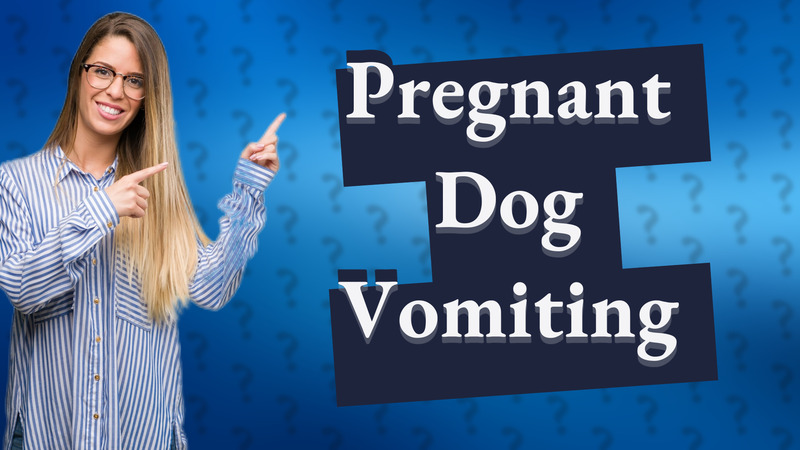 Pregnant Dog Vomiting