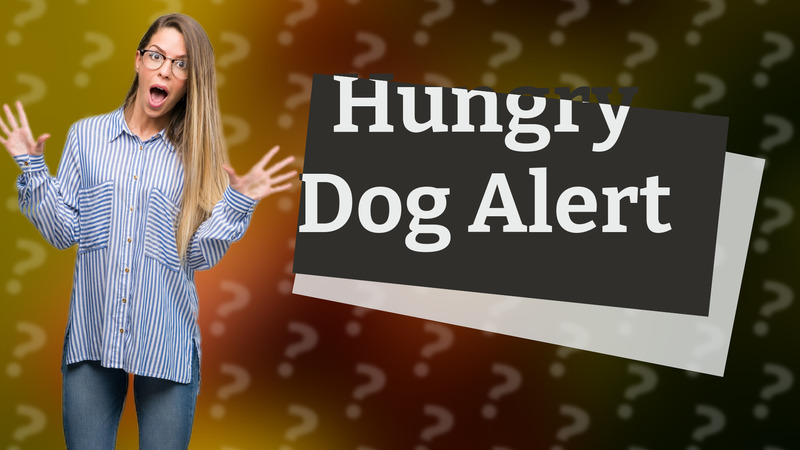 Hungry Dog Alert