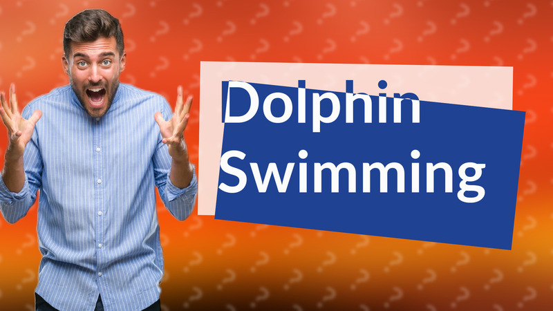 Dolphin Swimming
