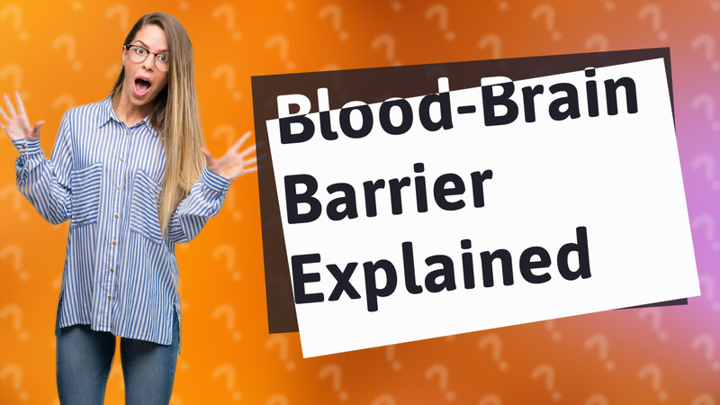 Blood-Brain Barrier Explained
