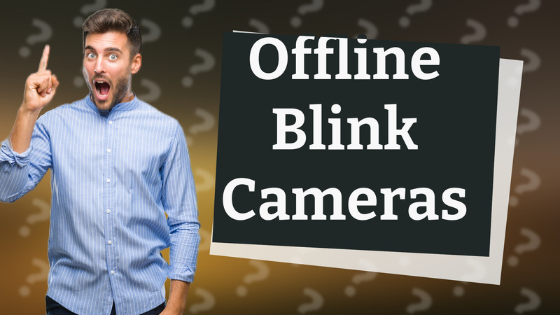 Offline Blink Cameras