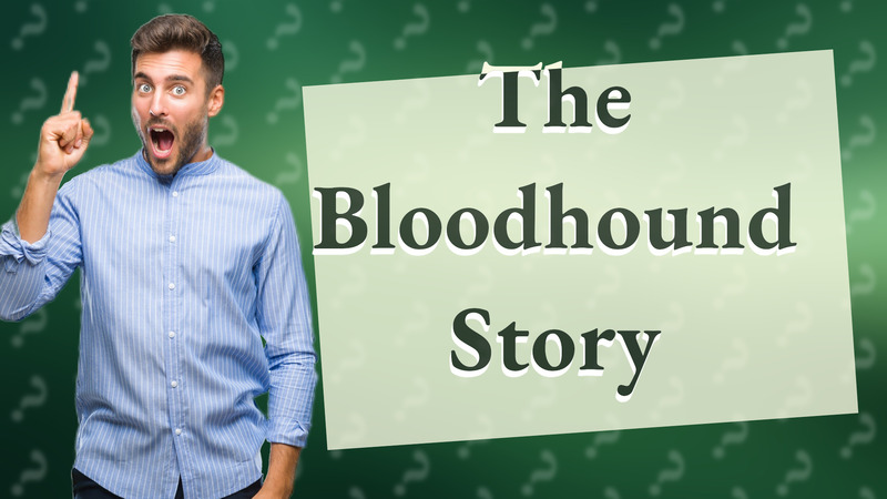 The Bloodhound Story