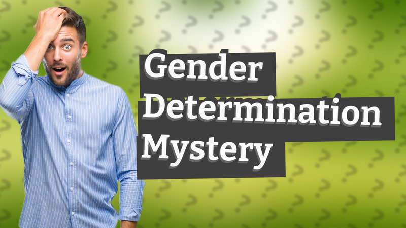 Gender Determination Mystery