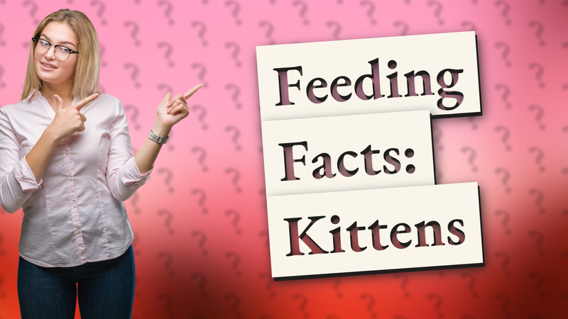 Feeding Facts: Kittens