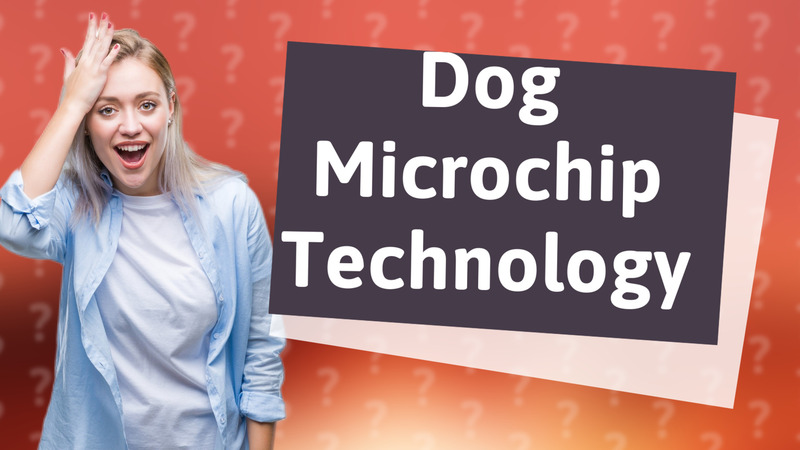 Dog Microchip Technology