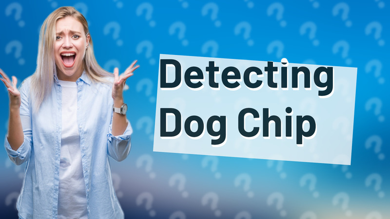Detecting Dog Chip