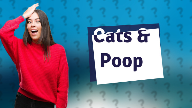 Cats & Poop