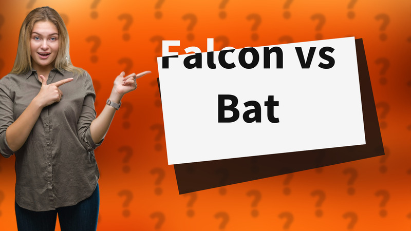 Falcon vs Bat