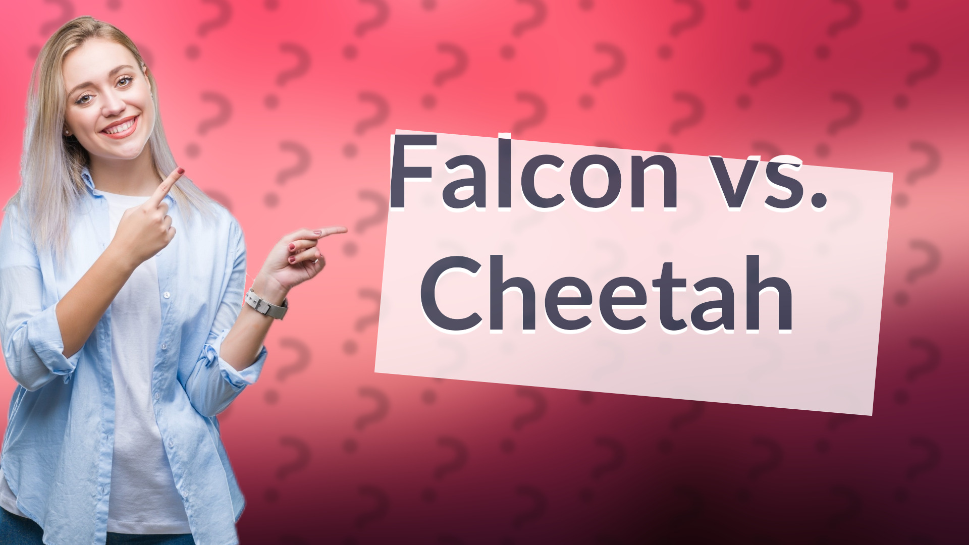 Falcon vs. Cheetah