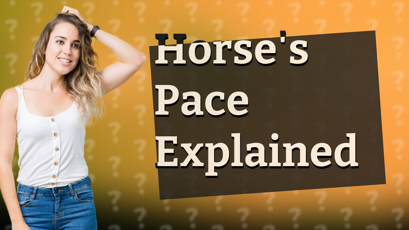 Horse's Pace Explained