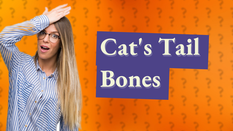 Cat's Tail Bones