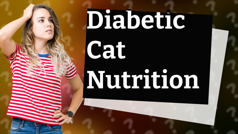 Diabetic Cat Nutrition