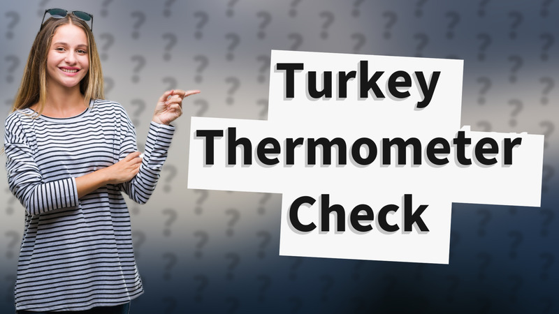 Turkey Thermometer Check