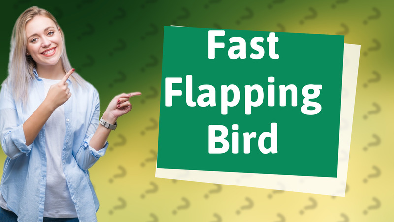 Fast Flapping Bird