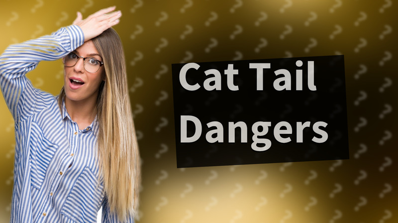 Cat Tail Dangers