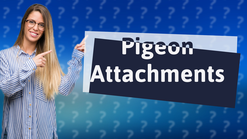 Pigeon Attachments