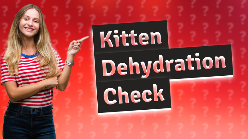 Kitten Dehydration Check