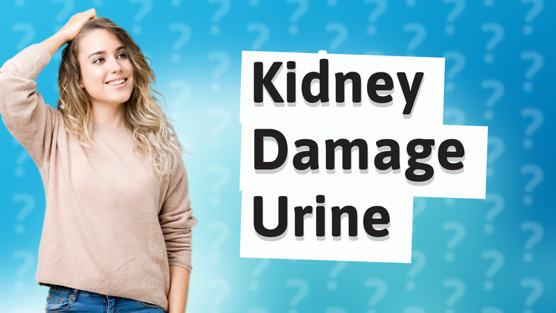Kidney Damage Urine