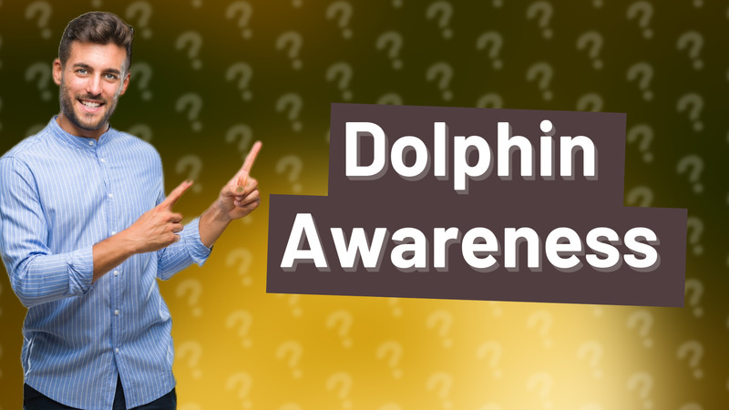 Dolphin Awareness