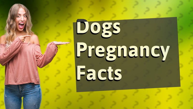 Dogs Pregnancy Facts