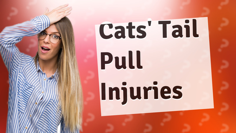 Cats' Tail Pull Injuries
