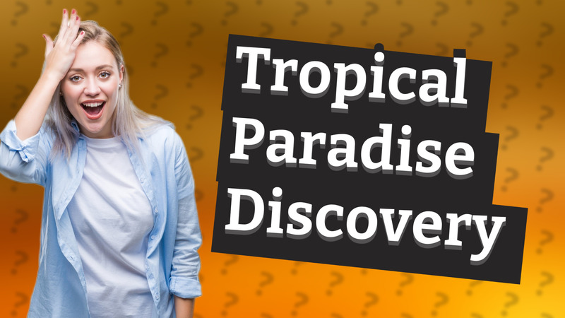 Tropical Paradise Discovery