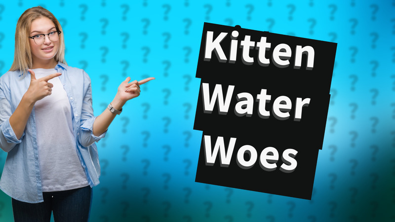 Kitten Water Woes