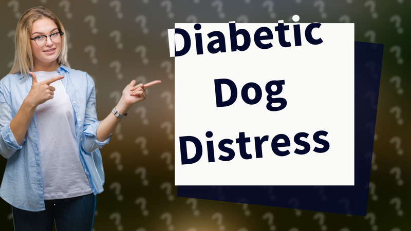 Diabetic Dog Distress