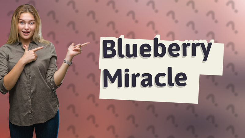 Blueberry Miracle