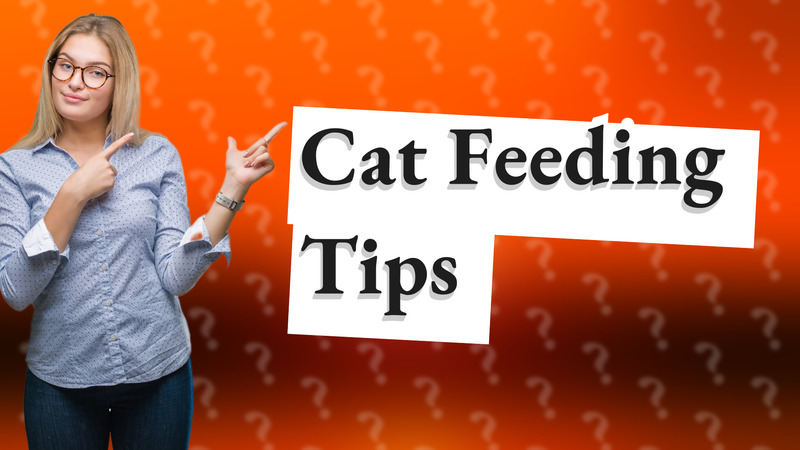 Cat Feeding Tips