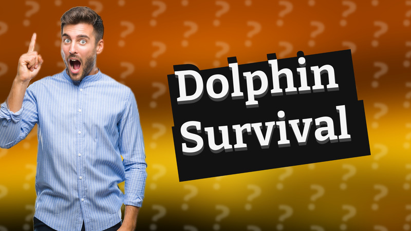 Dolphin Survival