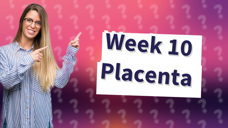 Week 10 Placenta