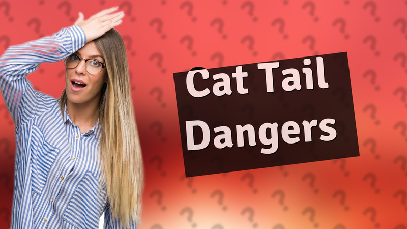 Cat Tail Dangers