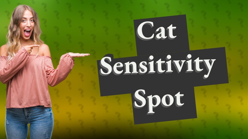 Cat Sensitivity Spot