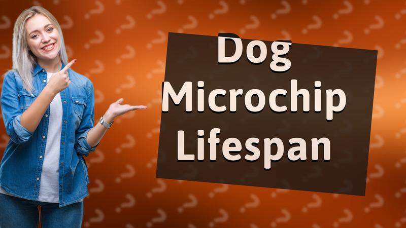 Dog Microchip Lifespan