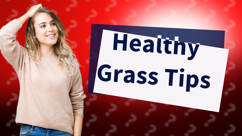 Healthy Grass Tips