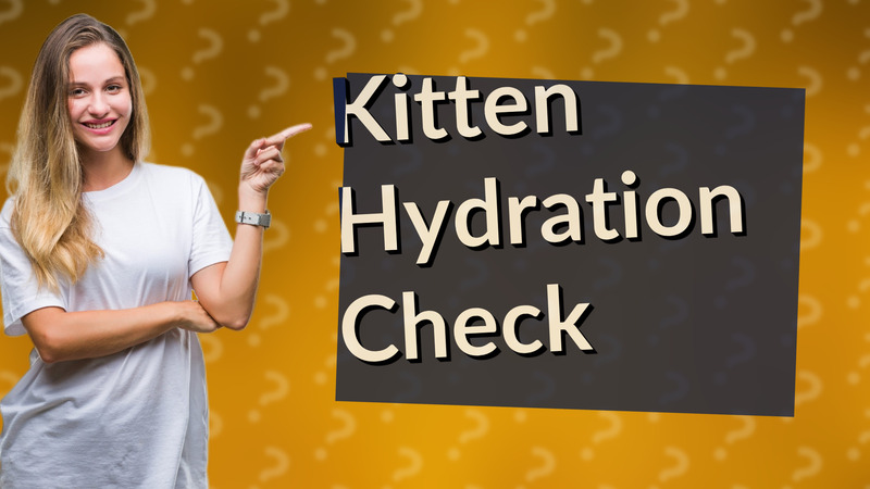 Kitten Hydration Check