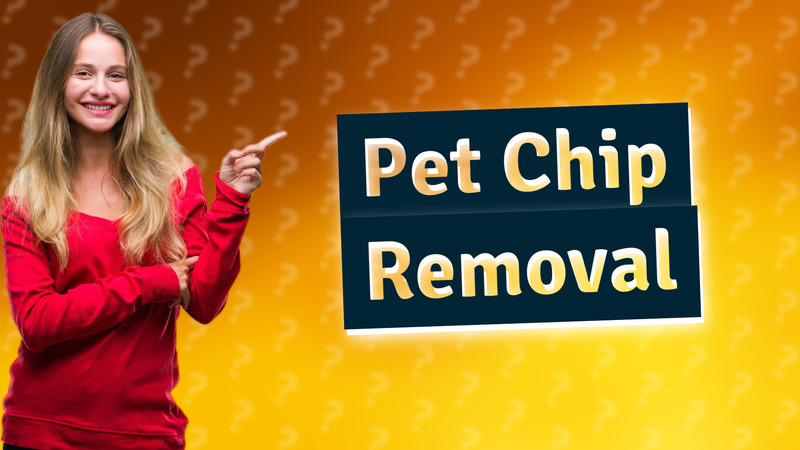 Pet Chip Removal