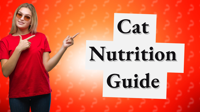 Cat Nutrition Guide